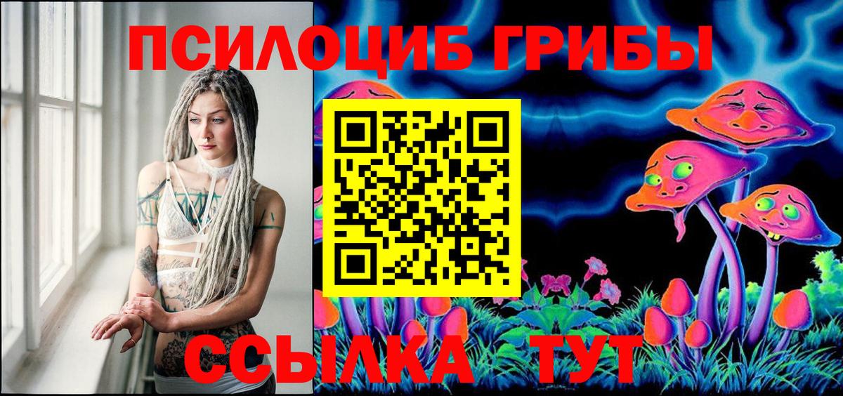 Галлюциногенные грибы Psilocybe  Вход с VPN  Бугуруслан 